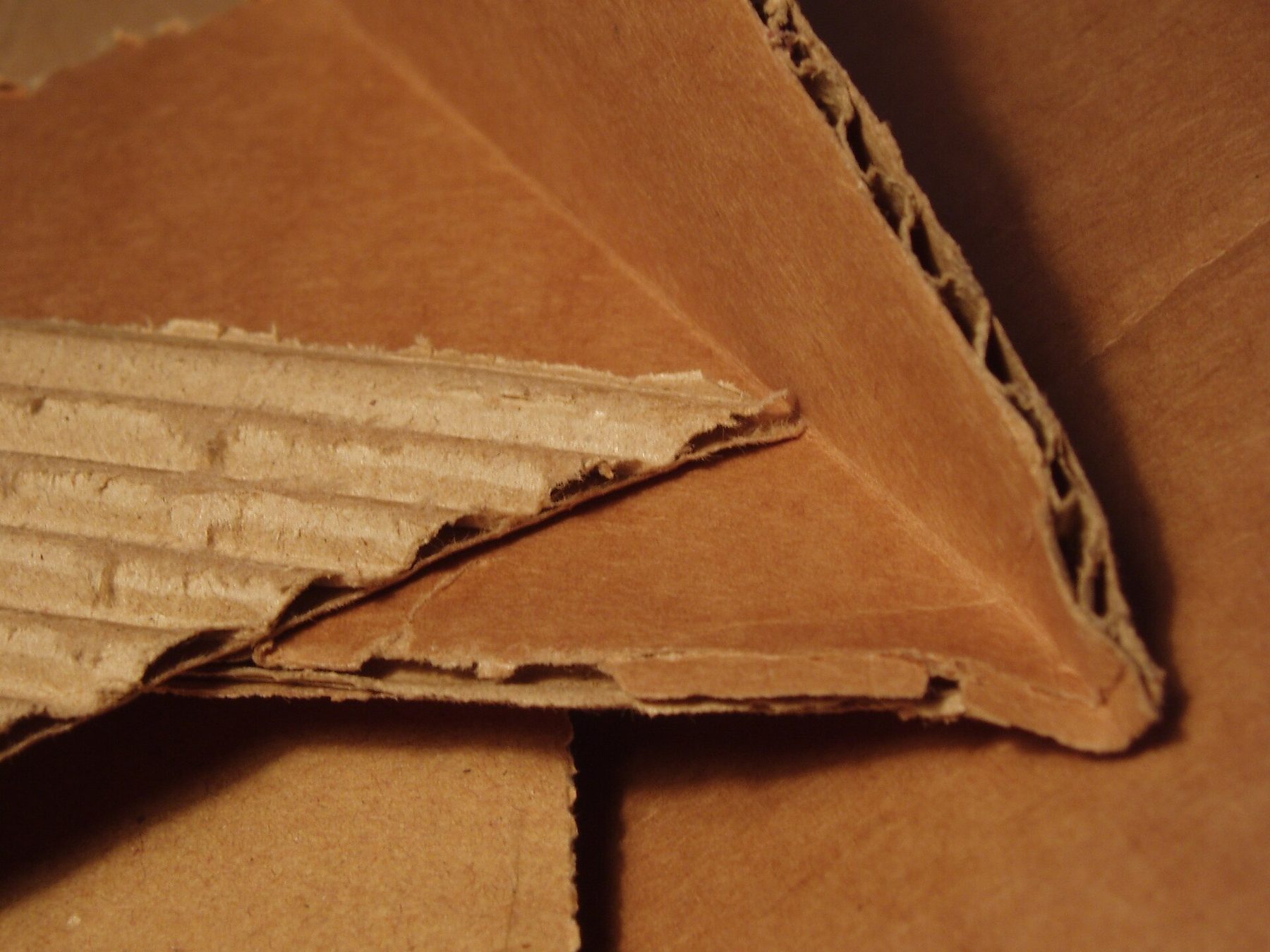 Close-up of a corrugated board edge showing the flute between two liners